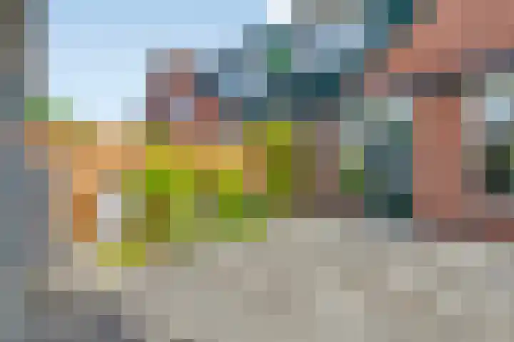 IJslandmos 19 Bergschenhoek thumbnail 15