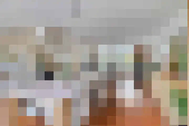 IJslandmos 19 Bergschenhoek thumbnail 18
