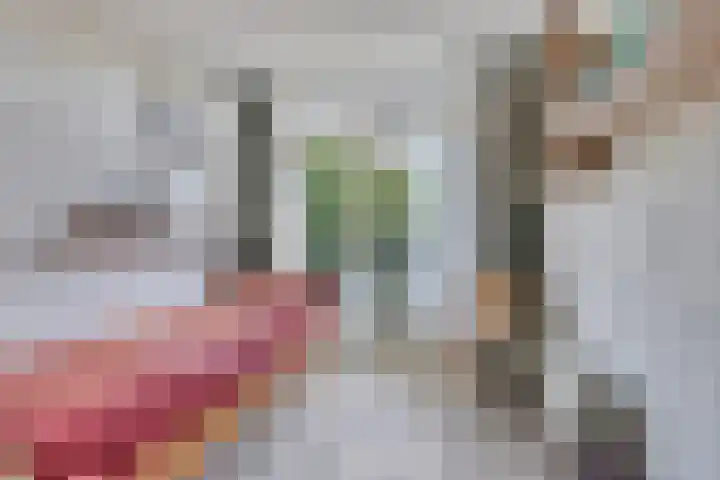 IJslandmos 19 Bergschenhoek thumbnail 20