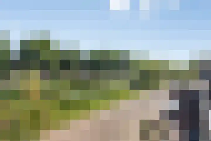 IJslandmos 19 Bergschenhoek thumbnail 21