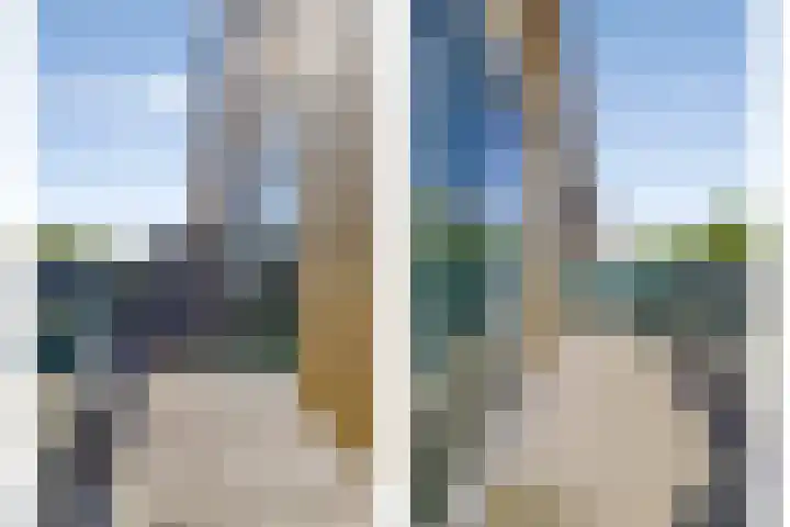 IJslandmos 19 Bergschenhoek thumbnail 22