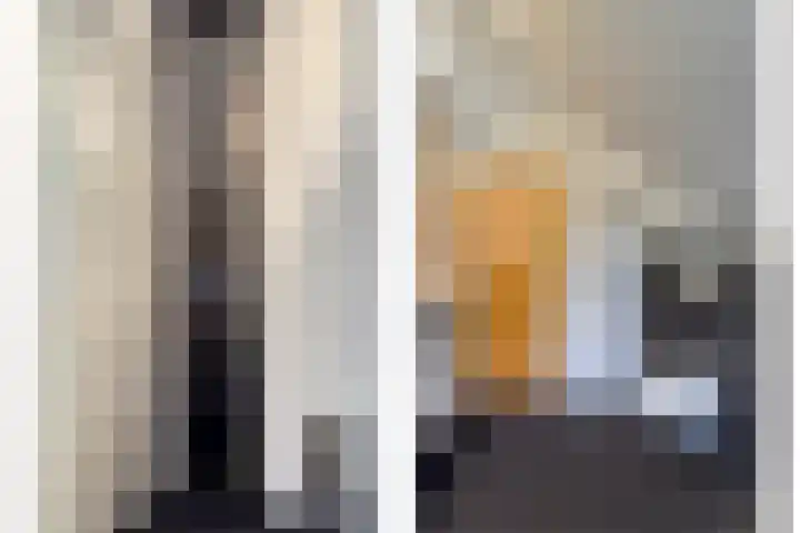 IJslandmos 19 Bergschenhoek thumbnail 24