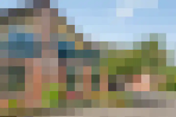 IJslandmos 19 Bergschenhoek thumbnail 32