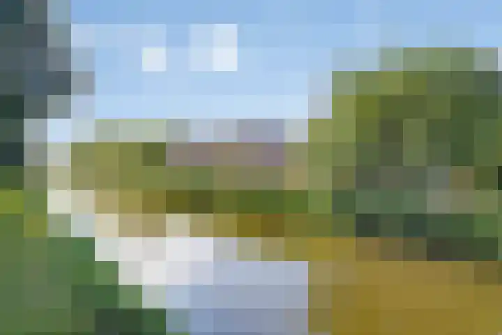 IJslandmos 19 Bergschenhoek thumbnail 33