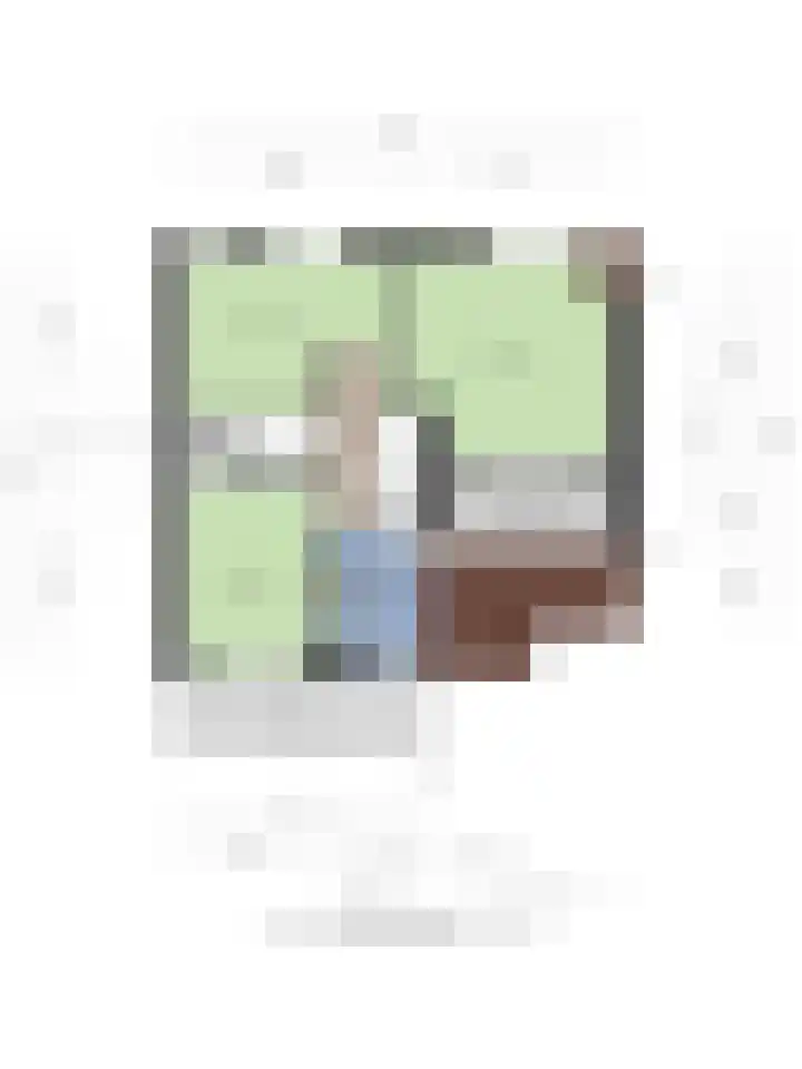 IJslandmos 19 Bergschenhoek thumbnail 36