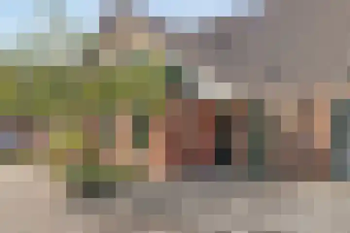 IJslandmos 19 Bergschenhoek thumbnail 4