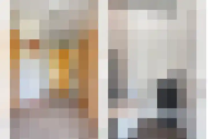 IJslandmos 19 Bergschenhoek thumbnail 5