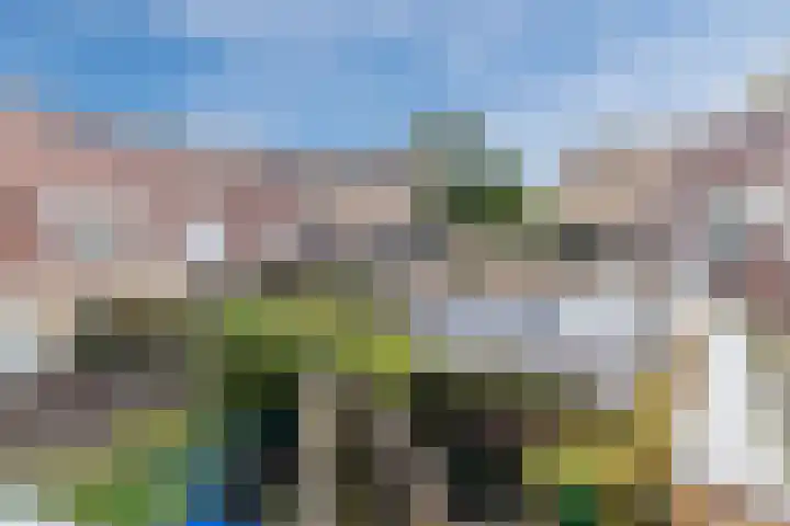 IJslandpark 38 Haarlem thumbnail 32