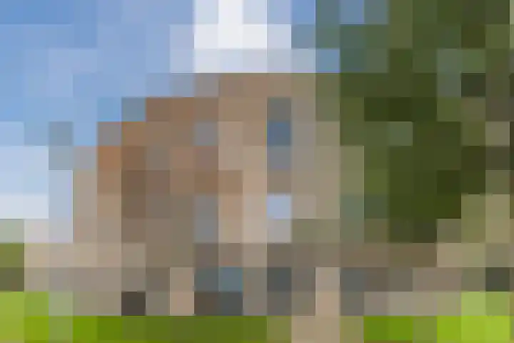 IJslandpark 38 Haarlem thumbnail 43