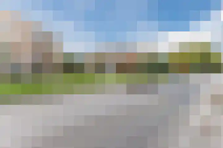 IJslandpark 38 Haarlem thumbnail 45