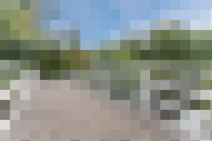IJslandpark 38 Haarlem thumbnail 46