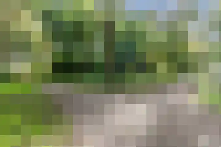 IJslandpark 38 Haarlem thumbnail 47