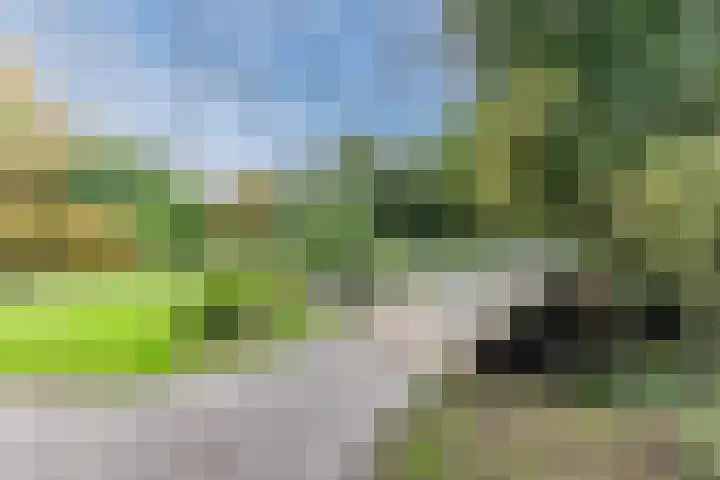 IJslandpark 38 Haarlem thumbnail 48