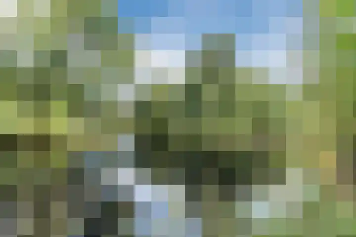 IJslandpark 38 Haarlem thumbnail 49