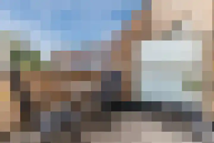 IJslandpark 38 Haarlem thumbnail 6
