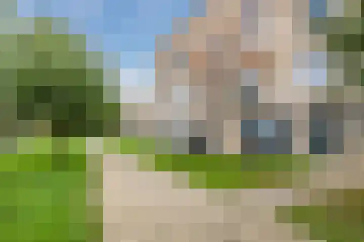 IJslandpark 38 Haarlem thumbnail 7