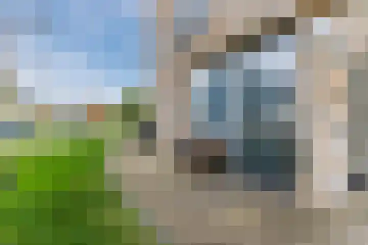 IJslandpark 38 Haarlem thumbnail 8