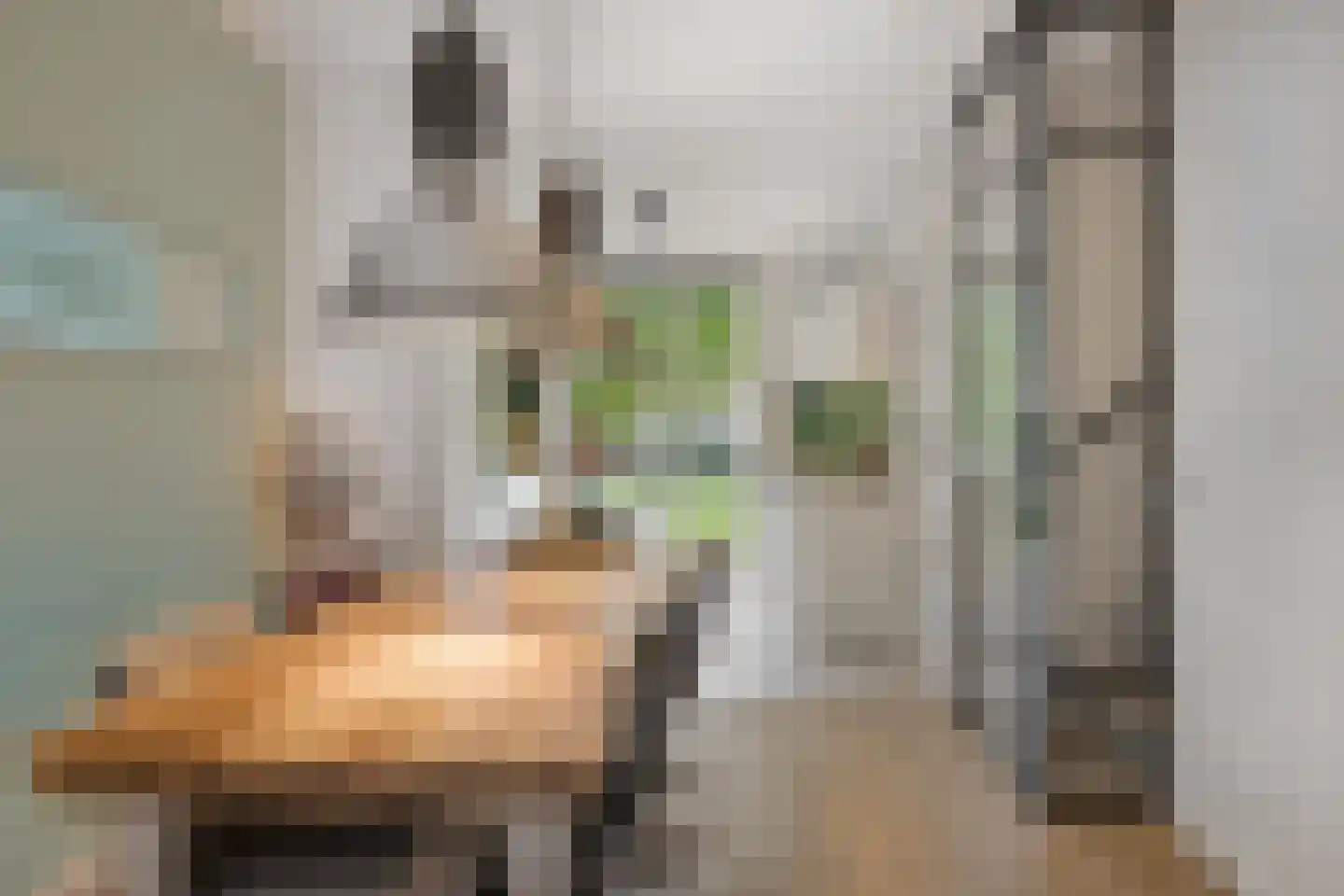 IJslandpark 39 Haarlem thumbnail 11