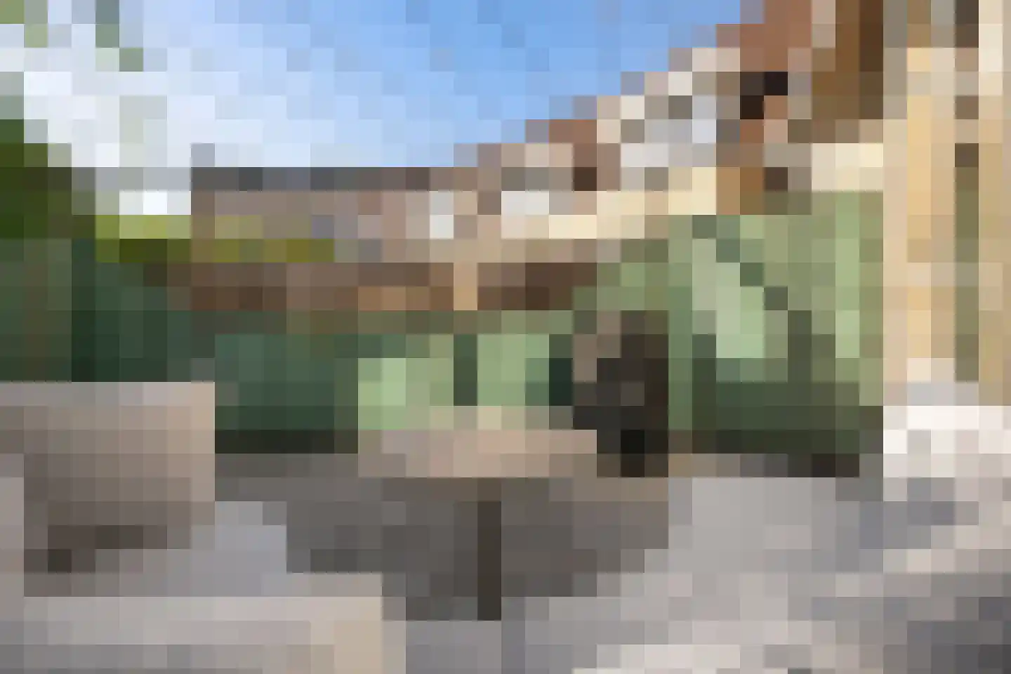 IJslandpark 39 Haarlem thumbnail 23
