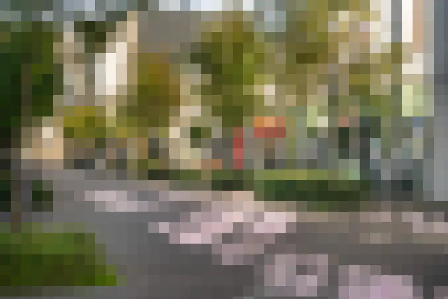 IJslandpark 39 Haarlem thumbnail 29