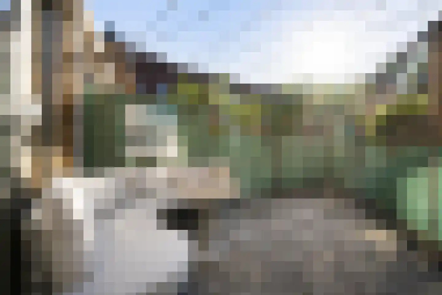 IJslandpark 39 Haarlem thumbnail 7
