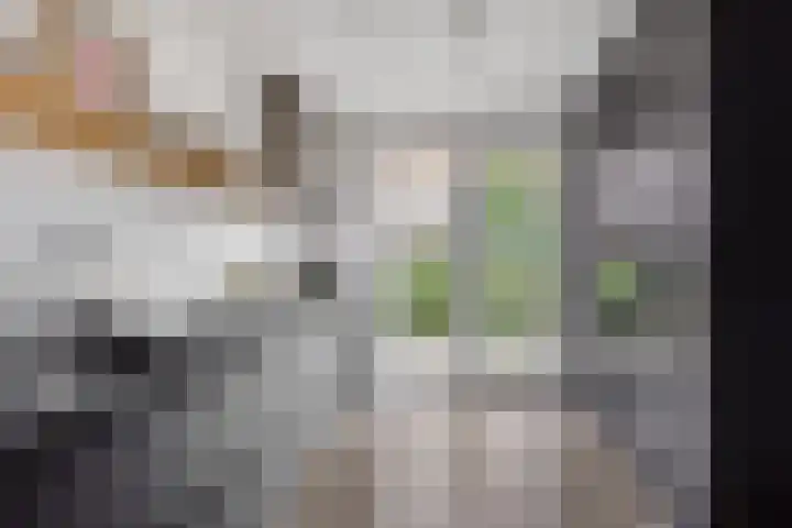IJslandpark 63 Haarlem thumbnail 10