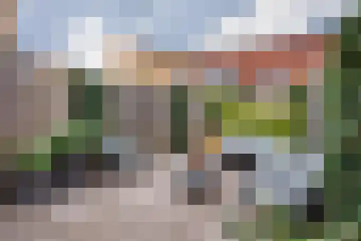 IJslandpark 63 Haarlem thumbnail 12