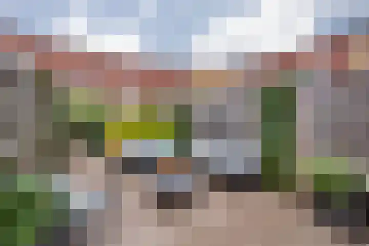 IJslandpark 63 Haarlem thumbnail 13
