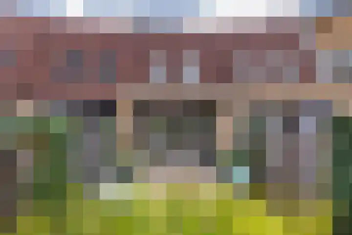 IJslandpark 63 Haarlem thumbnail 14