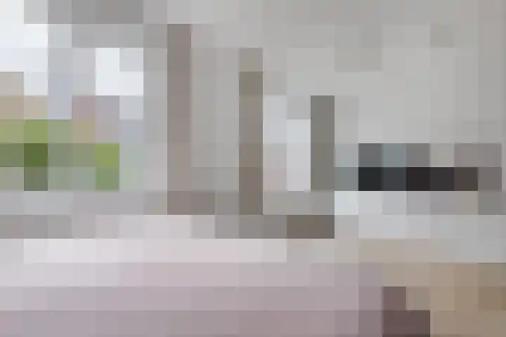 IJslandpark 63 Haarlem thumbnail 21