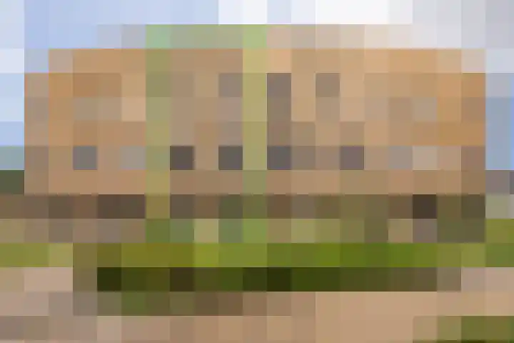 IJslandpark 63 Haarlem thumbnail 33