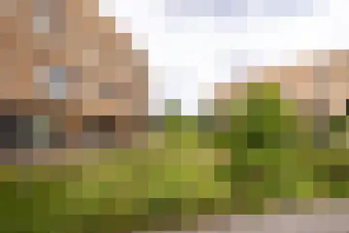 IJslandpark 63 Haarlem thumbnail 35