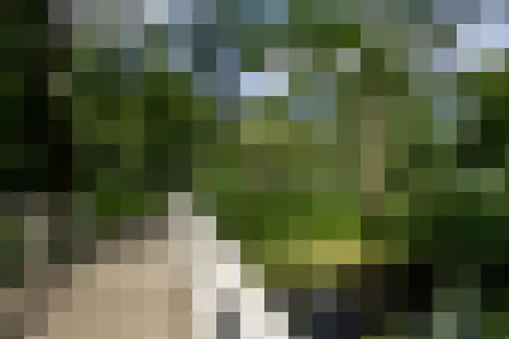 IJslandpark 63 Haarlem thumbnail 37