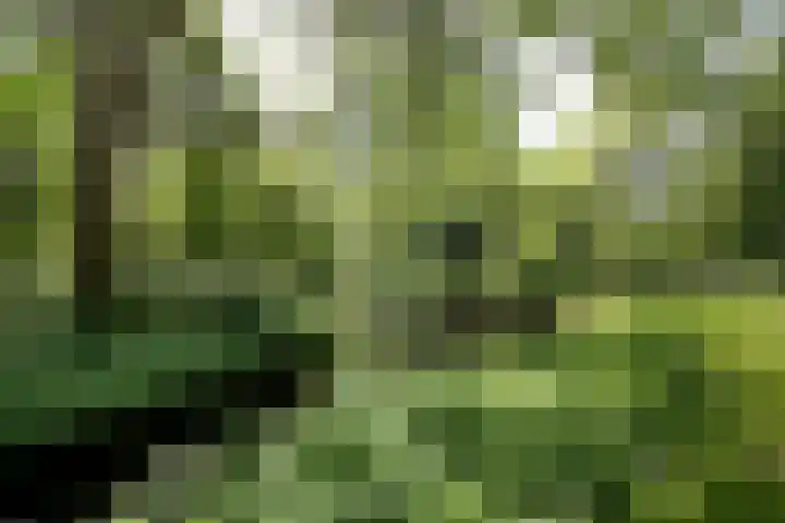 IJslandpark 63 Haarlem thumbnail 39
