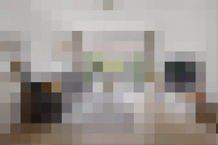 IJslandpark 63 Haarlem thumbnail 6