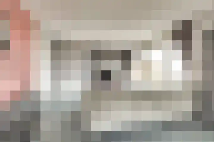 IJslandstraat 26 De Lier thumbnail 10
