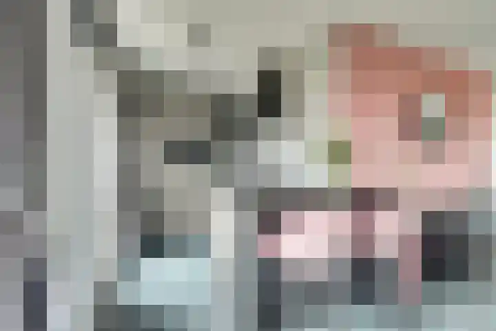 IJslandstraat 26 De Lier thumbnail 16