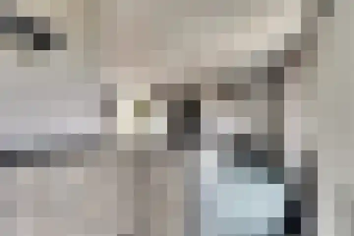 IJslandstraat 26 De Lier thumbnail 17
