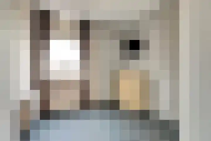 IJslandstraat 26 De Lier thumbnail 22