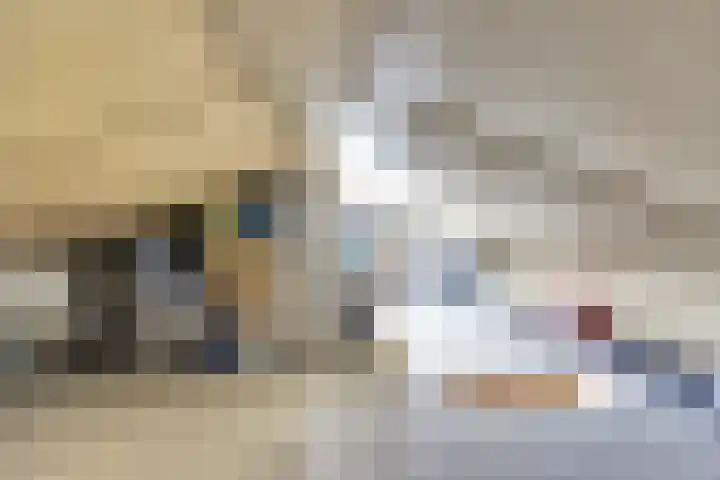 IJslandstraat 26 De Lier thumbnail 25