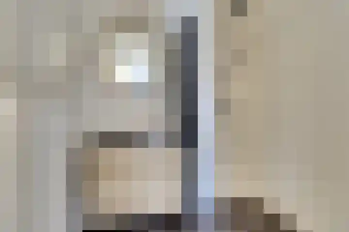 IJslandstraat 26 De Lier thumbnail 27