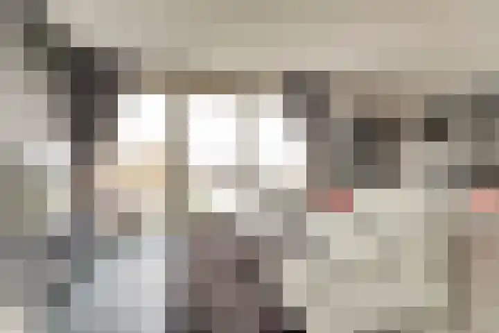 IJslandstraat 26 De Lier thumbnail 4