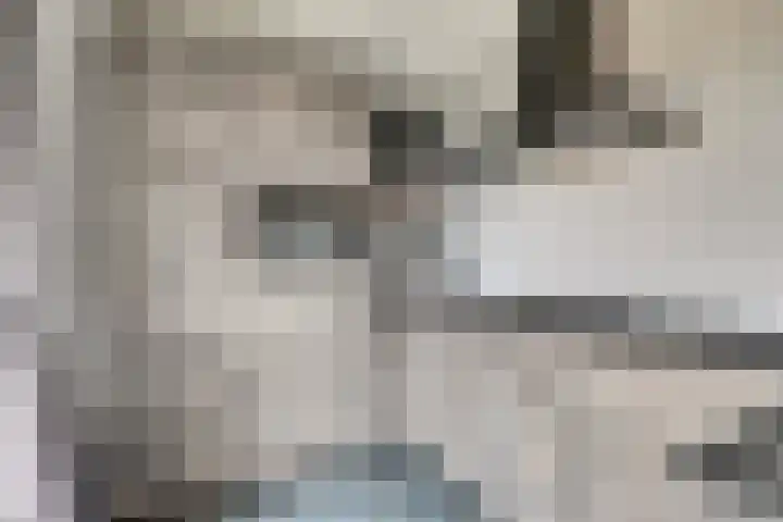 IJslandstraat 26 De Lier thumbnail 5