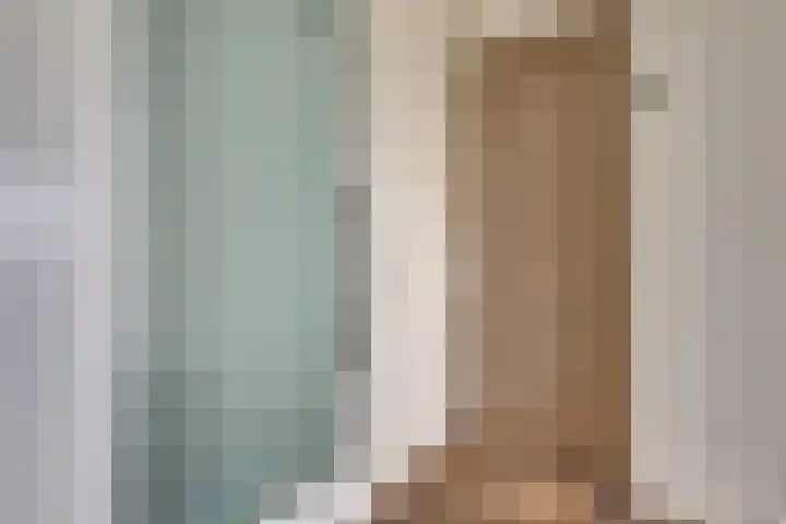 IJslandstraat 26 De Lier thumbnail 8