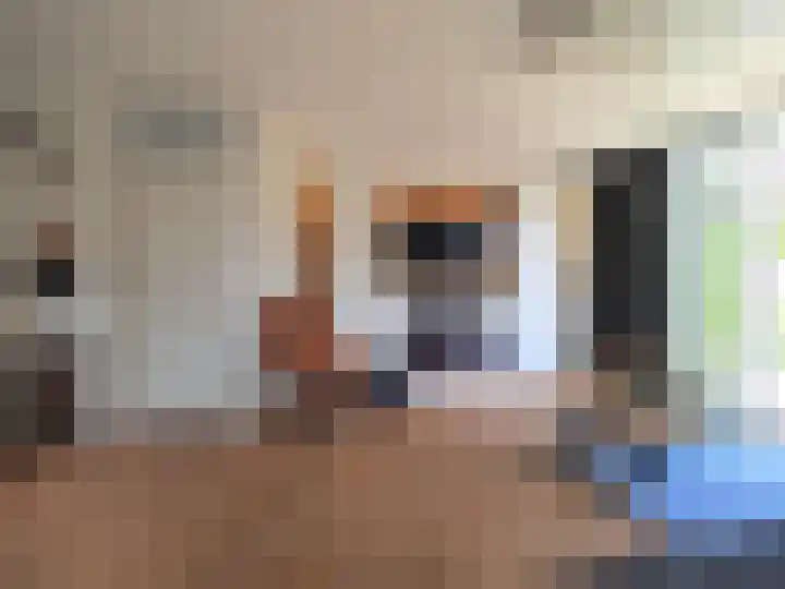IJspolderweg 17 Papendrecht thumbnail 11