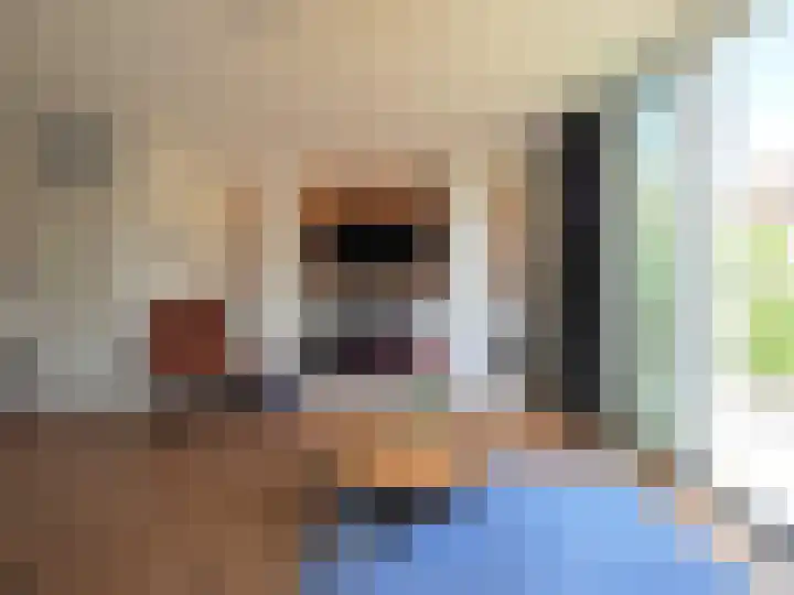 IJspolderweg 17 Papendrecht thumbnail 14