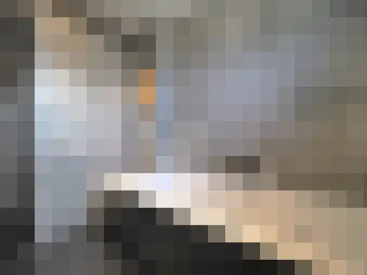 IJspolderweg 17 Papendrecht thumbnail 37