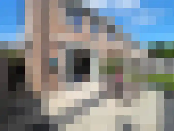 IJspolderweg 17 Papendrecht thumbnail 48