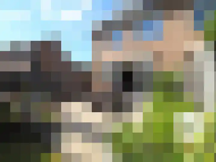 IJspolderweg 17 Papendrecht thumbnail 50