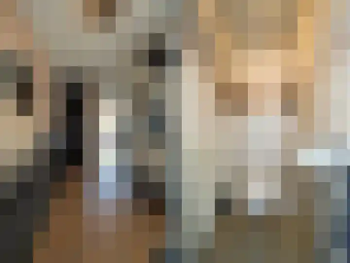 IJspolderweg 17 Papendrecht thumbnail 8